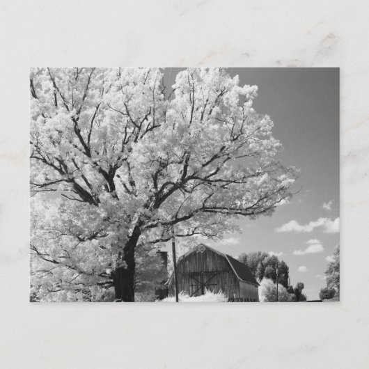 Wisconsin Farm Postcard Postkarte (Vorderseite)