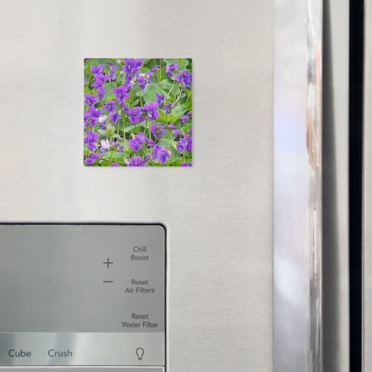 Wisconsin Holzviolette - Maßgeschneiderte Magnet (In Situ (Kühlschrank))