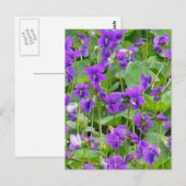 Wisconsin Holzviolette - Maßgeschneiderte Postkarte (Vorne/Hinten)