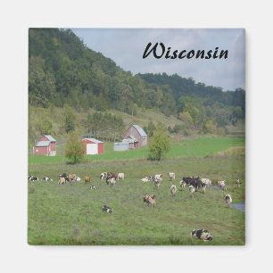Wisconsin-Hügel Magnet