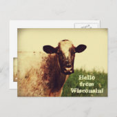 Wisconsin Kuh Foto Postkarte (Vorne/Hinten)