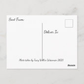 Wisconsin Landschaftsfotografie Postkarte (Rückseite)