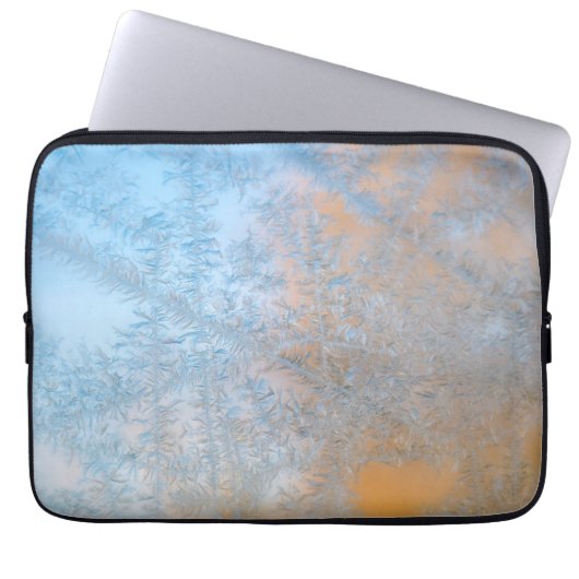 Wisconsin Laptopschutzhülle (Vorderseite)