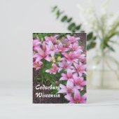 Wisconsin-Lilien Postkarte (Stehend Vorderseite)
