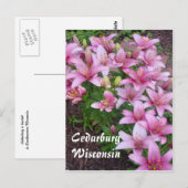 Wisconsin-Lilien Postkarte (Vorne/Hinten)