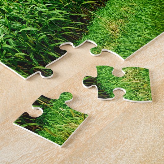 Wisconsin Maisfelder. Puzzle (Seite)