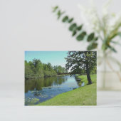 Wisconsin Medford Stream River Water Park Picnic Postkarte (Stehend Vorderseite)