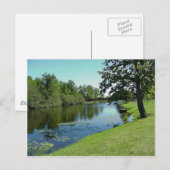 Wisconsin Medford Stream River Water Park Picnic Postkarte (Vorne/Hinten)