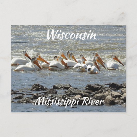 Wisconsin, Mississippi River Memorabilia Postkarte (Vorderseite)