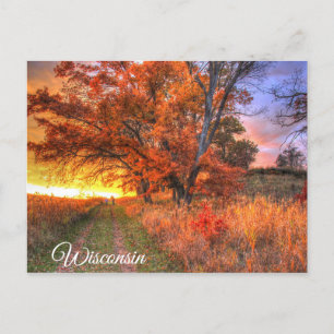 Wisconsin Postcard Postkarte