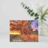 Wisconsin Postcard Postkarte (Stehend Vorderseite)