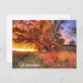 Wisconsin Postcard Postkarte (Vorne/Hinten)
