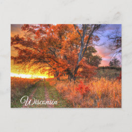 Wisconsin Postcard Postkarte