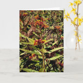 Wisconsin Red Wildflower Karte (Gelbe Blume)