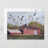Wisconsin Sand Cranes - Postkarte (Vorne/Hinten)