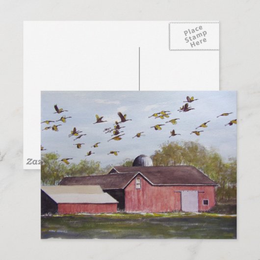 Wisconsin Sand Cranes - Postkarte (Vorne/Hinten)