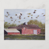 Wisconsin Sand Cranes - Postkarte (Vorderseite)