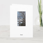 Wisconsin Spaß Happy Spring Snowy Card Karte (Rückseite)