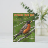 Wisconsin Staat Bird - American Robin Postkarte (Stehend Vorderseite)