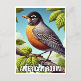 Wisconsin Staat Bird American Robin Postkarte