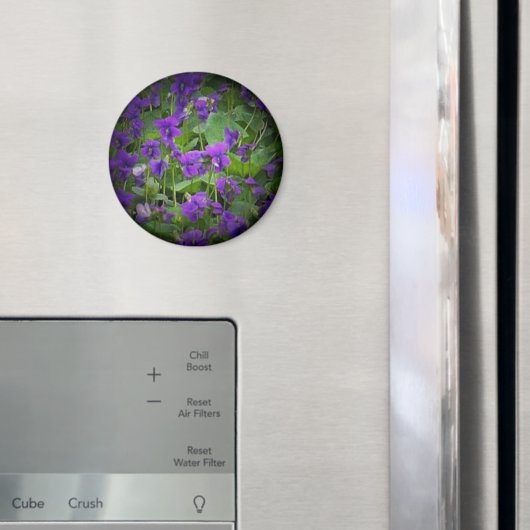 Wisconsin Staat Blume: Holzviolett-Spotlight Magnet (In Situ (Kühlschrank))