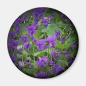 Wisconsin Staat Blume: Holzviolett-Spotlight Magnet (Vorne)