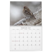 Wisconsin-Vogelkalender 2026 Kalender (Feb 2027)