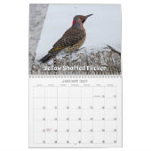 Wisconsin-Vogelkalender 2026 Kalender (Jan 2027)