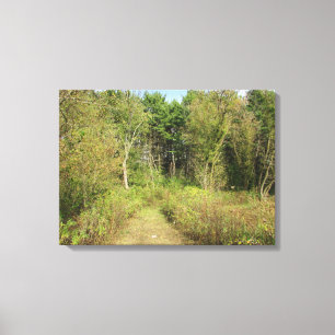 Wisconsin-Wälder und -Weg-Natur-Foto-Wandkunst Leinwanddruck