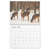 Wisconsin-Weiß-Schwänze Kalender (Feb 2027)
