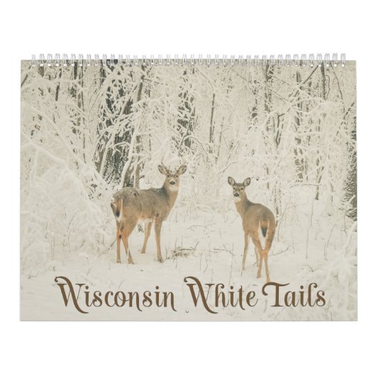 Wisconsin-Weiß-Schwänze Kalender (Titelbild)