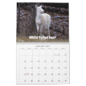 Wisconsin-Wildlife-Kalender 2026 Kalender (Jan 2027)