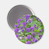 Wisconsin Wood Violets Magnet (Vorderseite/Rückseite)