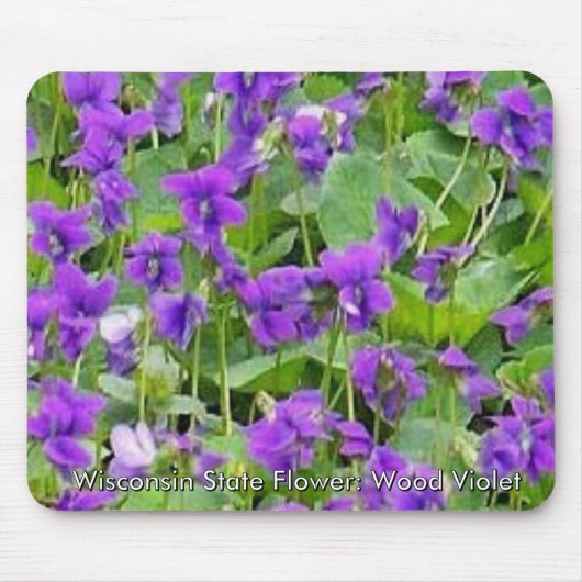 Wisconsin Wood Violets Mousepad (Vorne)