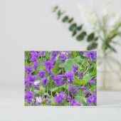Wisconsin Wood Violets Postcard Postkarte (Stehend Vorderseite)