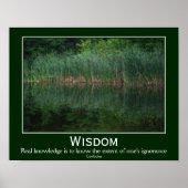 Wisdom Konfuzius Zitatkatzen Inspiration Poster (Vorne)