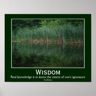 Wisdom Konfuzius Zitatkatzen Inspiration Poster