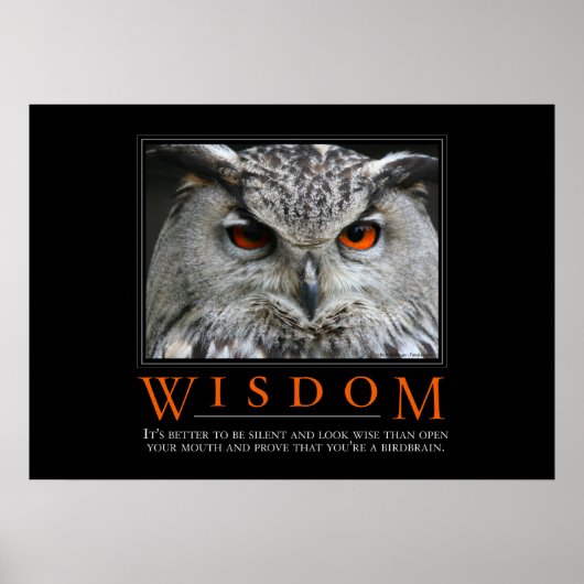 Wisdom Motivierend Parody Poster (Vorne)