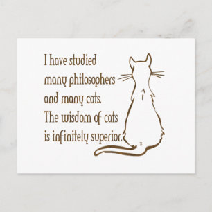 Wisdom of Cats Postkarte