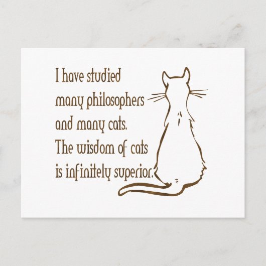 Wisdom of Cats Postkarte (Vorderseite)