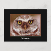 WISDOM OWL POSTKARTE (Vorderseite)