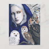 Wisdom Owls Shaman Fantasy Postcard Postkarte (Vorderseite)