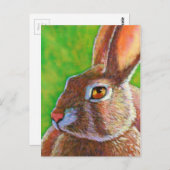 Wise Bunny Postkarte (Vorne/Hinten)