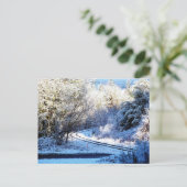 Wise Man Winter - Coquille, Oregon Postkarte (Stehend Vorderseite)