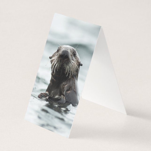 Wise Otter (Rückseite)