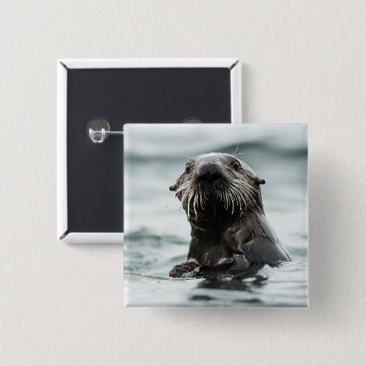 Wise Otter Button (Vorne & Hinten)