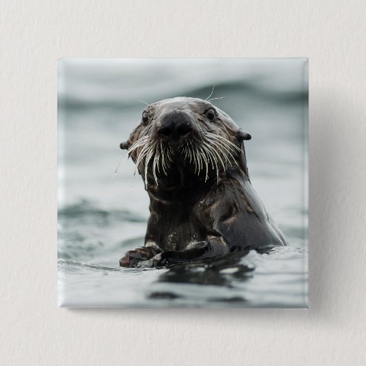 Wise Otter Button (Vorderseite)