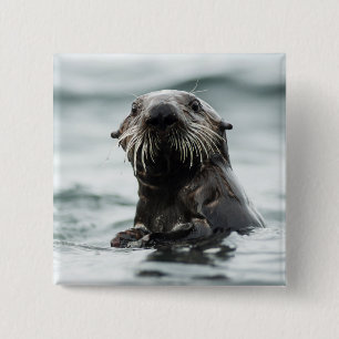 Wise Otter Button