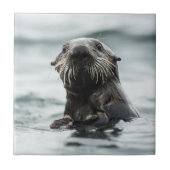 Wise Otter Fliese (Vorderseite)