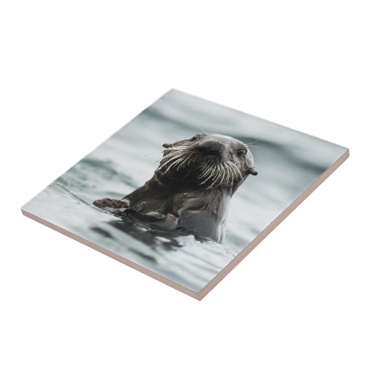 Wise Otter Fliese (Seite)